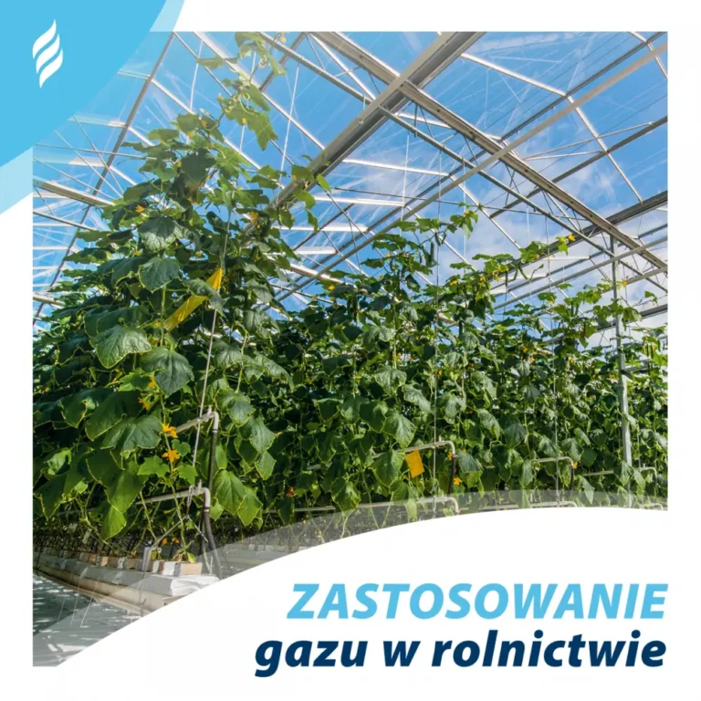 Czy wiesz, co jest w Twojej lodówce