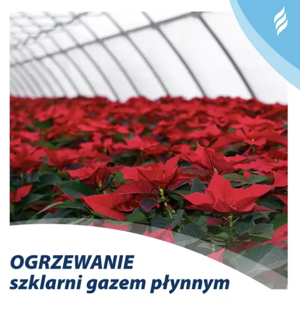 Ogrzewanie szklarni gazem płynnym