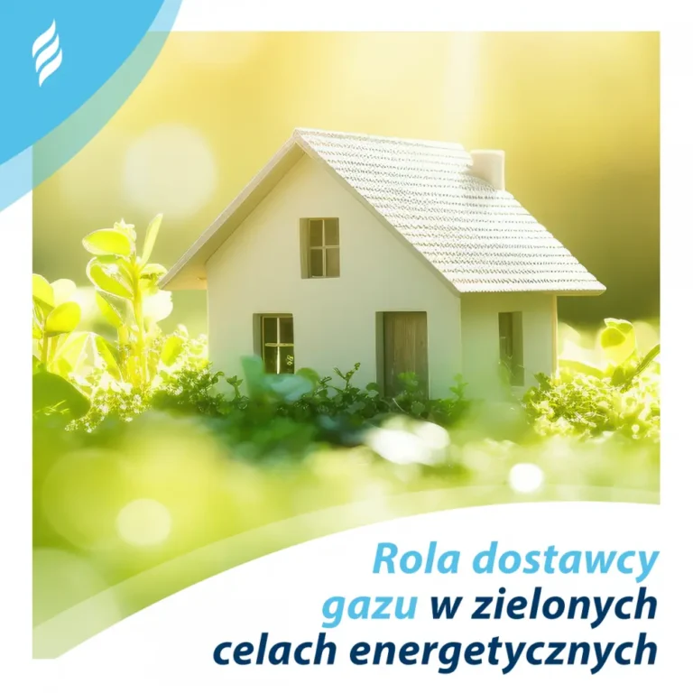Rola dostawcy gazu w realizacji zielonych celów energetycznych
