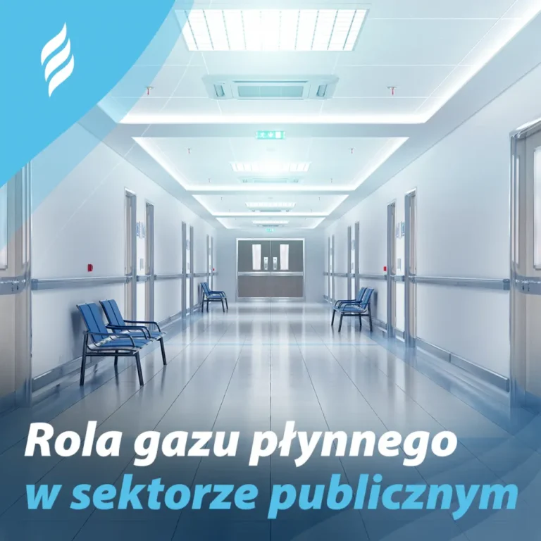 Rola gazu płynnego w sektorze publicznym